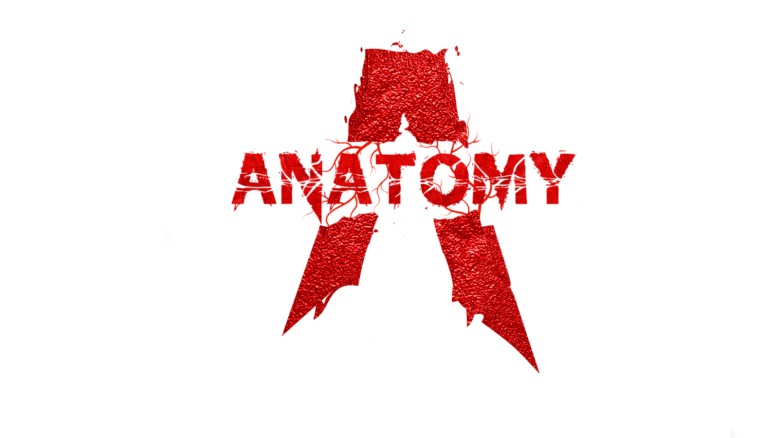 anatomyfour.com
