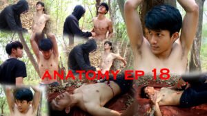 ANATOMY EP 18