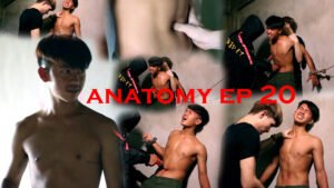 ANATOMY EP 20