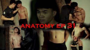ANATOMY EP 31