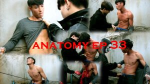 ANATOMY EP 33