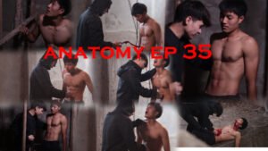 ANATOMY EP 35