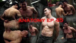 ANATOMY EP 45