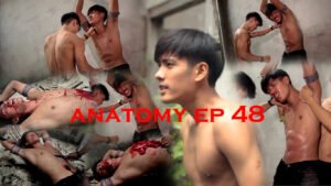 ANATOMY EP 48