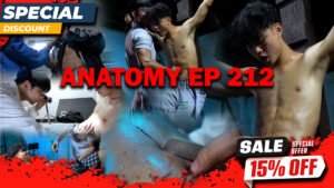 ANATOMY EP 212