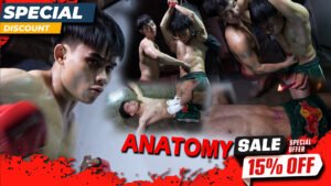 ANATOMY EP 244