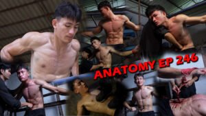 ANATOMY EP 246