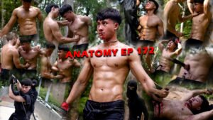 ANATOMY EP 172