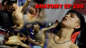 ANATOMY EP 200