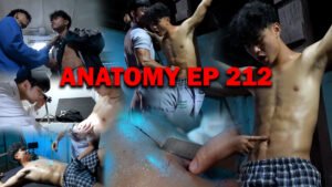ANATOMY EP 212