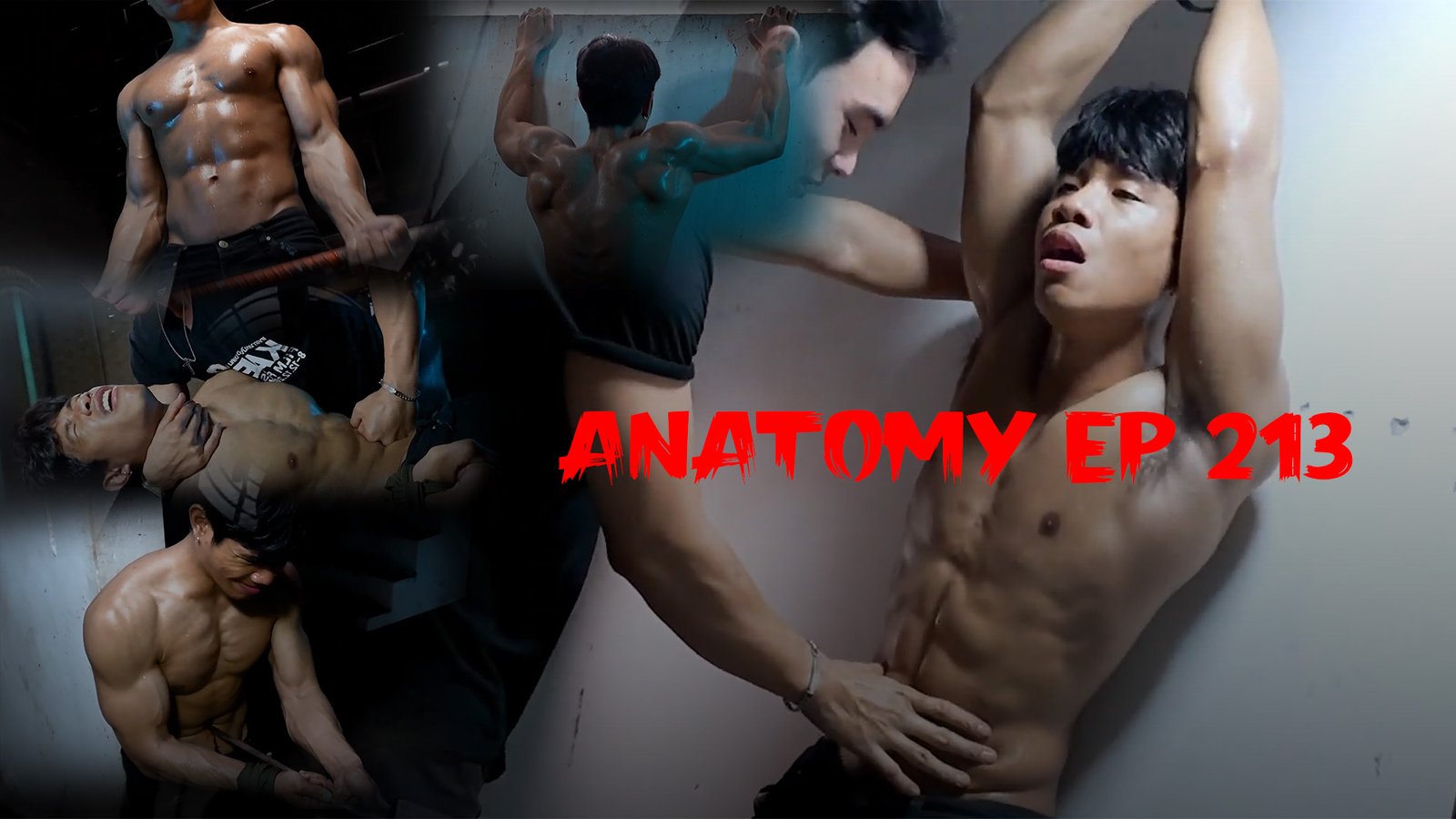 ANATOMY EP 213