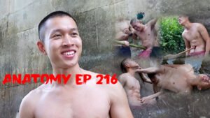 ANATOMY EP 216