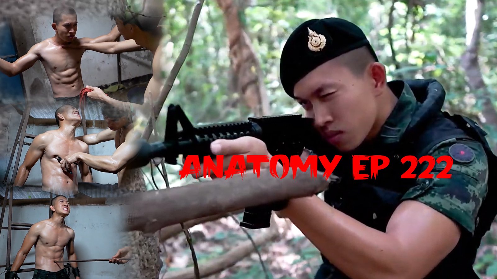 ANATOMY EP 222