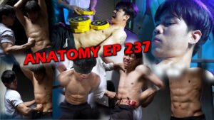ANATOMY EP 237