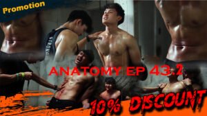 ANATOMY EP 43.2