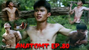 ANATOMY EP 80