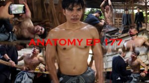 ANATOMY EP 177