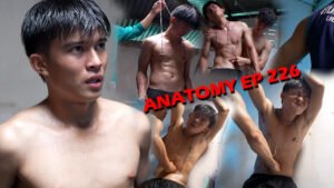 ANATOMY EP 226