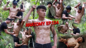 ANATOMY EP 134