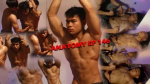 ANATOMY EP 146