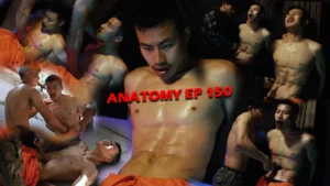ANATOMY EP 150