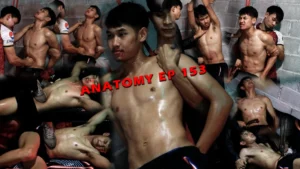 ANATOMY EP 153