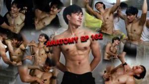 ANATOMY EP 162
