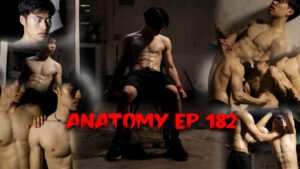 ANATOMY EP 182