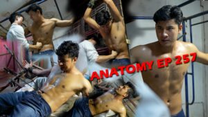 ANATOMY EP 257