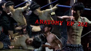 ANATOMY EP 262