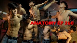 ANATOMY EP 260