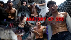 ANATOMY EP 268