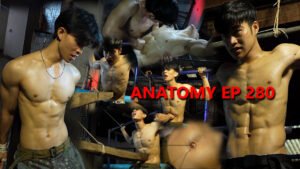 ANATOMY EP 280