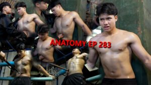 ANATOMY EP 283
