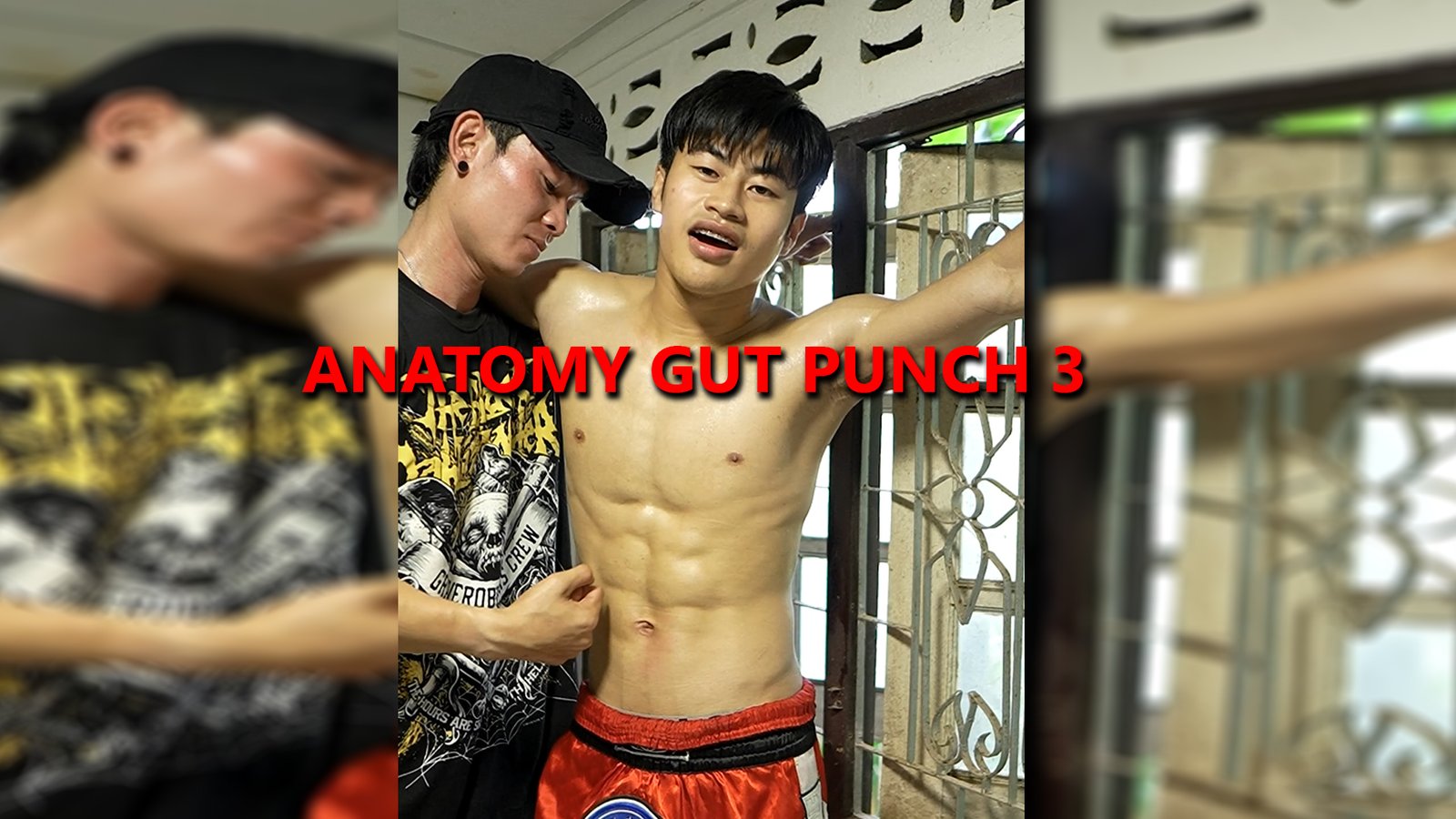 ANATOMY GUT PUNCH 3