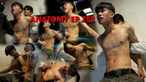ANATOMY EP 288