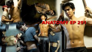 ANATOMY EP 291