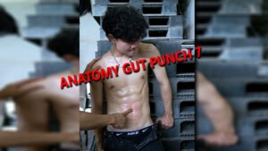 ANATOMY GUT PUNCH 7