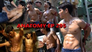 ANATOMY EP 295
