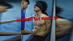 ANATOMY GUT PUNCH 10