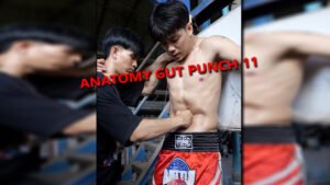 ANATOMY GUT PUNCH 11