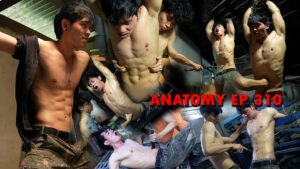 ANATOMY EP 310