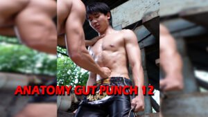 ANATOMY GUT PUNCH 12