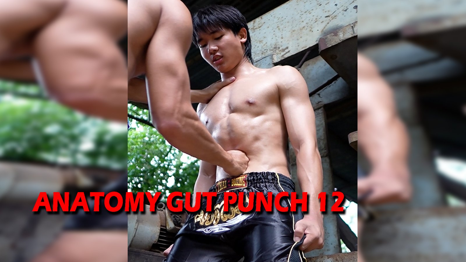 ANATOMY GUT PUNCH 12