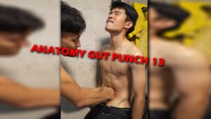 ANATOMY GUT PUNCH 13